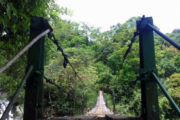 Suspension bridge